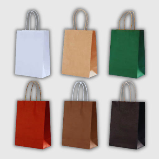 Kraft Paper Gift Bags – 10 Pieces