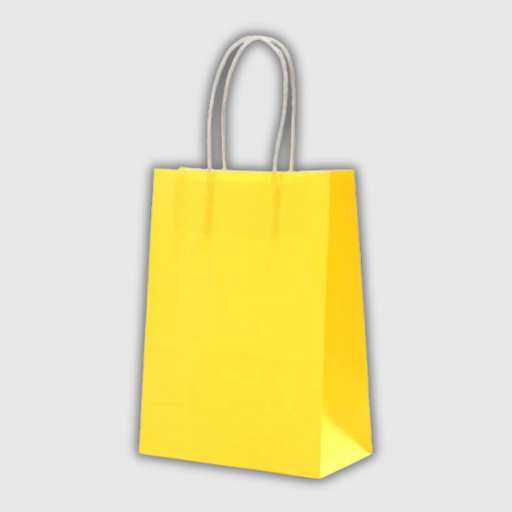 Kraft Paper Gift Bags – 10 Pieces