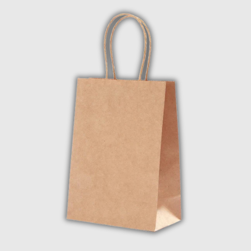 Kraft Paper Gift Bags – 10 Pieces