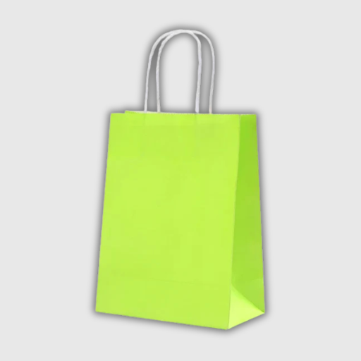 Kraft Paper Gift Bags – 10 Pieces