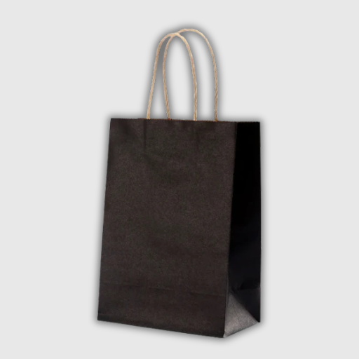 Kraft Paper Gift Bags – 10 Pieces