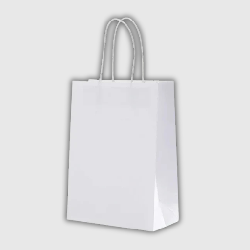 Kraft Paper Gift Bags – 10 Pieces