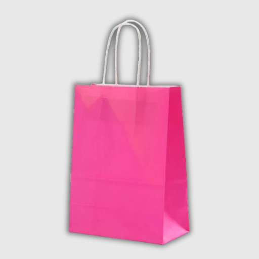 Kraft Paper Gift Bags – 10 Pieces