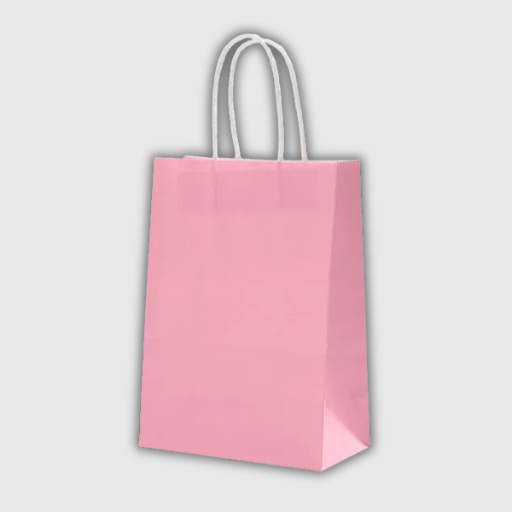 Kraft Paper Gift Bags – 10 Pieces