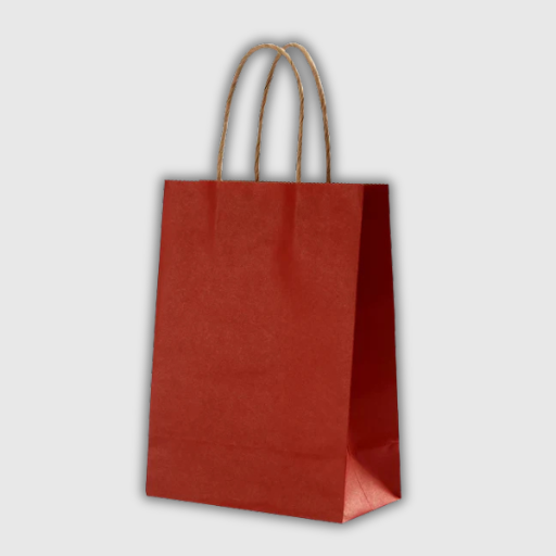 Kraft Paper Gift Bags – 10 Pieces